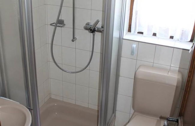 Silberdistel - Foto 11