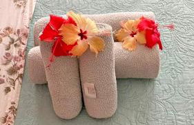 Casa Barracuda - Foto 6