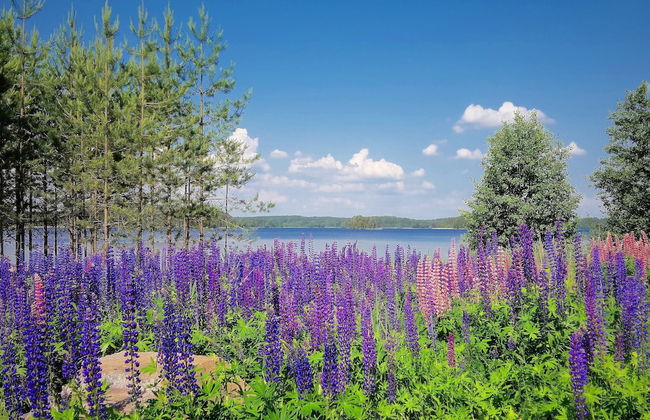 Villa Anna - Photo 16