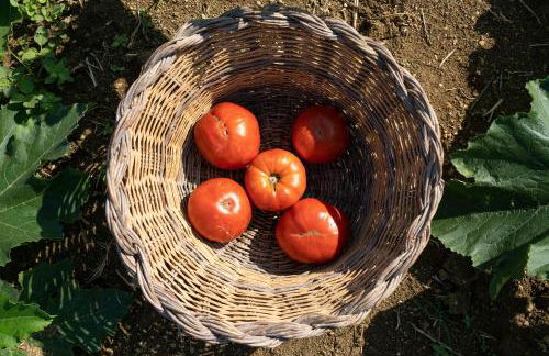 Appartamento Piero - Foto 42