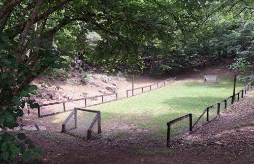 Guest house Mihovil - Foto 28