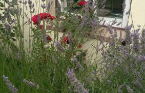 Apartments im Einhornhaus - Foto 1