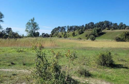 Ferienhof Neuendorfkrug, Lutow - Foto 25