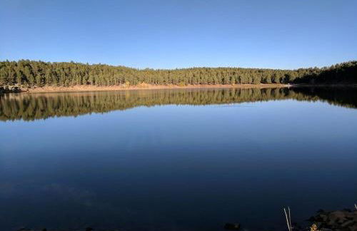 Gîte cocon Vassivière Aux abords du lac - Photo 11