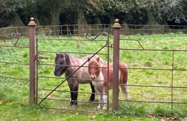 CRESSY HALL - Historic Grade II Listed Manor, Gorgeous Topiary Garden - Foto 5