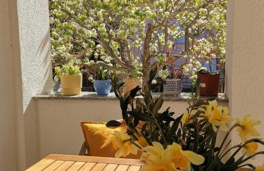 Apartman Soto - Photo 19