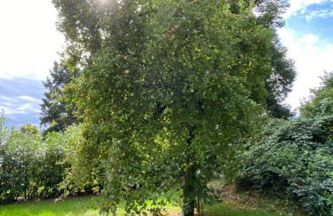 EinKlang - Familienidyll - Foto 44