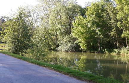 Botel La Vecchia (LY1992) - Foto 53
