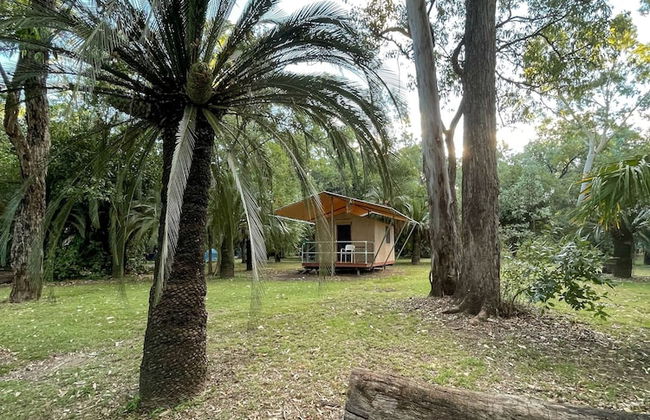 BIG4 Carnarvon Gorge Holiday Park - Foto 13