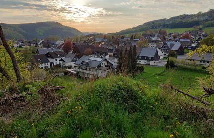 Große Ferienwohnung in Winterberg Hildfeld - Photo 38