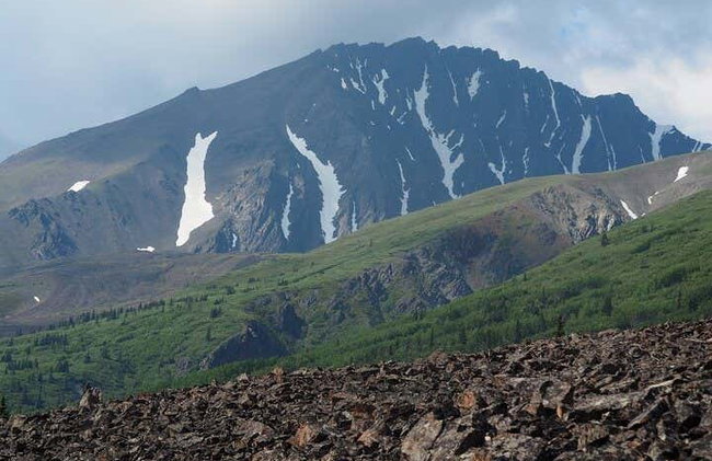 Kluane National Park Day Trip - Photo 13