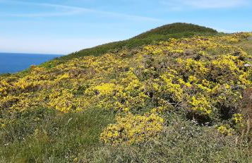 Au gite du bois d'amour - Foto 31