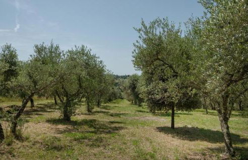 Nice Home In Torri In Sabina With Wifi - Foto 9