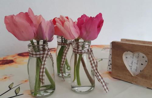 Ferienwohnung in Durbach- Urlaub am Weinberg - Foto 8