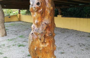 Country House Vignola Mare - Photo 41