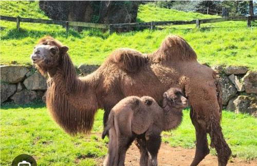 Apartamento Aurora - Foto 46