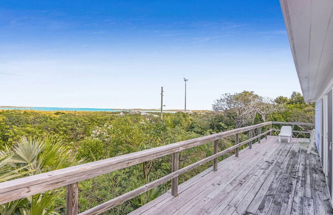 Palmetto Palms - Foto 14