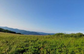 Domki pod Lipą. - Foto 57