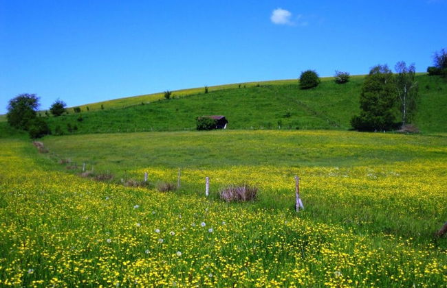 Sandra Comfortable Holiday Residence - Foto 11