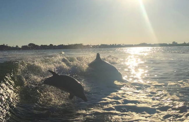 Steps to Beach Heated Pool - Foto 43