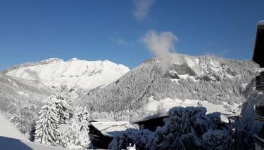 Chalet Le Wapiti, aux pieds des pistes, à 200m du village - Foto 4