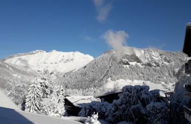 Chalet Le Wapiti, aux pieds des pistes, à 200m du village - Foto 4