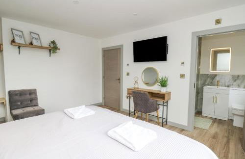 Barcud Coch - Red Kite - Photo 18