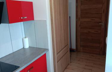 Apartamenty Domki Pokoje WeMa Wicie - Foto 39