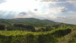 Cascina Pugnane - Foto 5