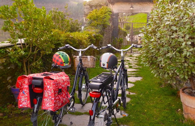 El Bosque de las Viñas - Foto 48