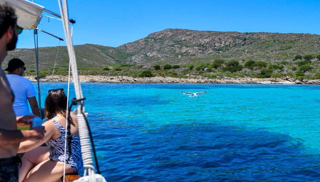 Tour in Stintino - Photo 2