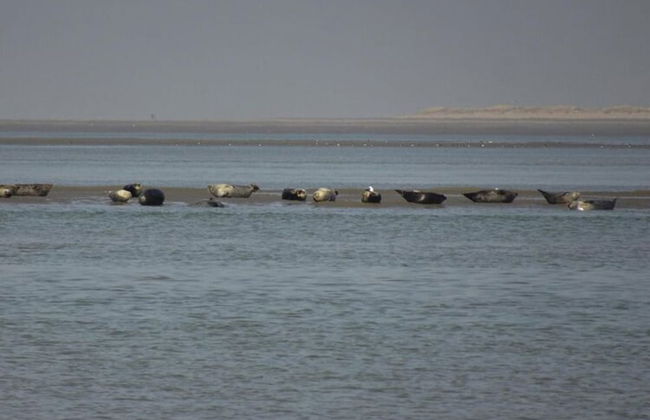 Charming Holiday Home in the Baie de Somme - Foto 23