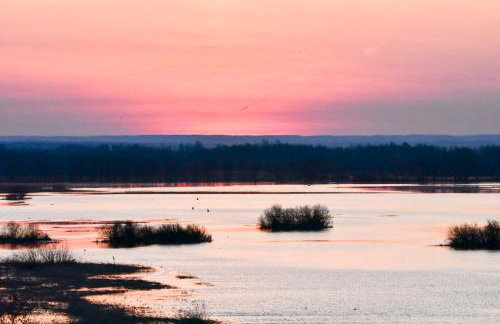 U Wileńskich - Foto 28