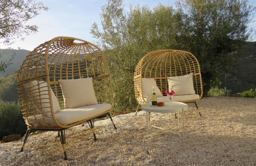 Finca RustiQ - Photo 11