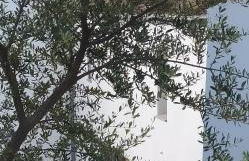 Finca Las Morenas - Foto 46