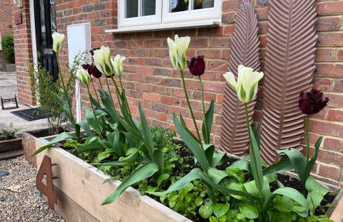 Whitstable The Jolly - Foto 33