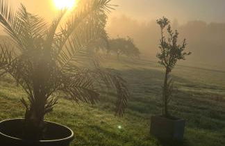 Ferienwohnung zur Falkenlay Bad Bertrich - Photo 12
