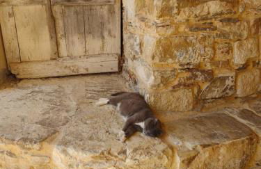 Casa vacanze Manenola - Foto 47