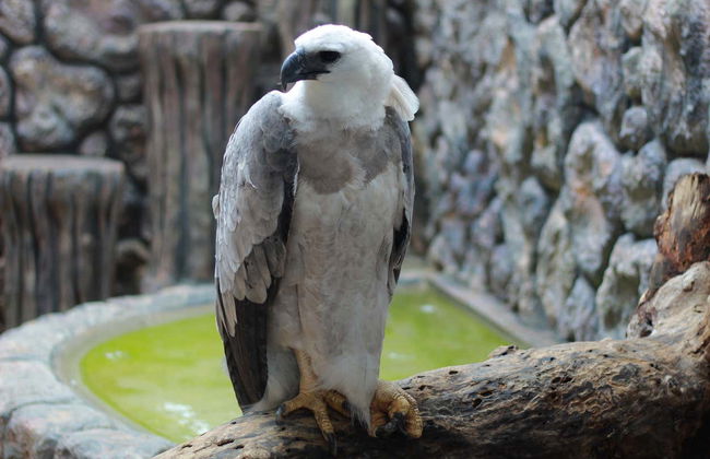 Visita guiada por Ecopark - Foto 4