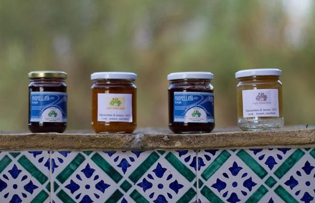 Agriturismo Baglio Donna Santa - Foto 28