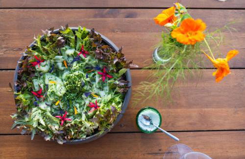 Travessia do Sol - Eco Lodge and Retreat Centre - Foto 36