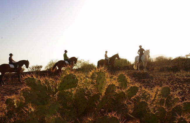 Passeggiata a cavallo nel sud di Tenerife - Foto 2