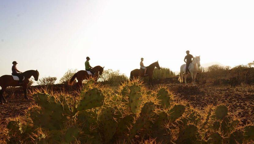Southern Tenerife Horseback Ride - Photo 2