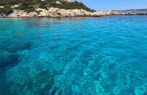 Steps from the Beach with views and big patio! - Photo 36