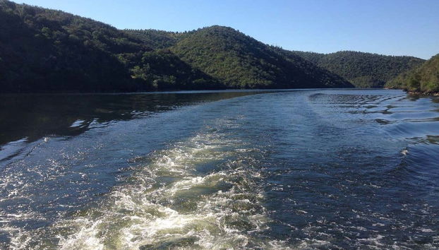 Paseo en barco por el río Alagón - Photo 2