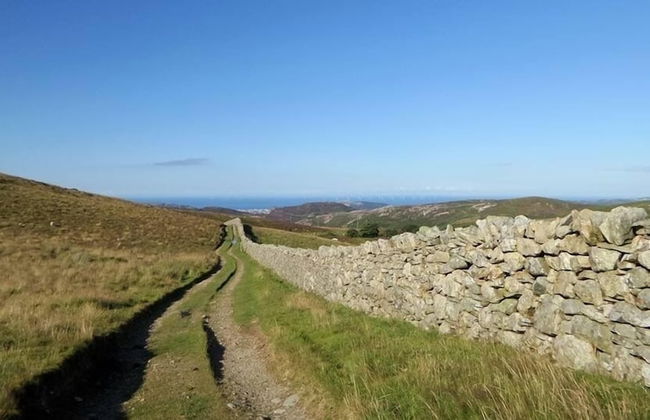 Superb Cintra Apartments - Foto 47