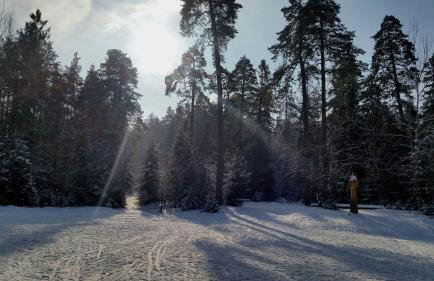 Apartament w Supraślu - Foto 17