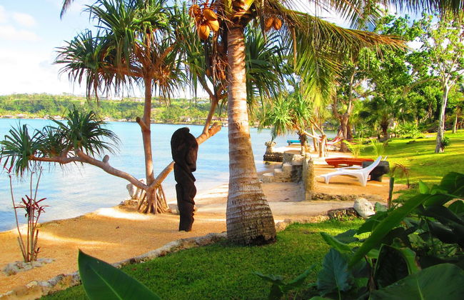 Troppo Mystique - Photo 65