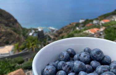 Pana House - Photo 12