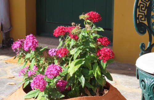 Monte Além Tejo - Foto 48
